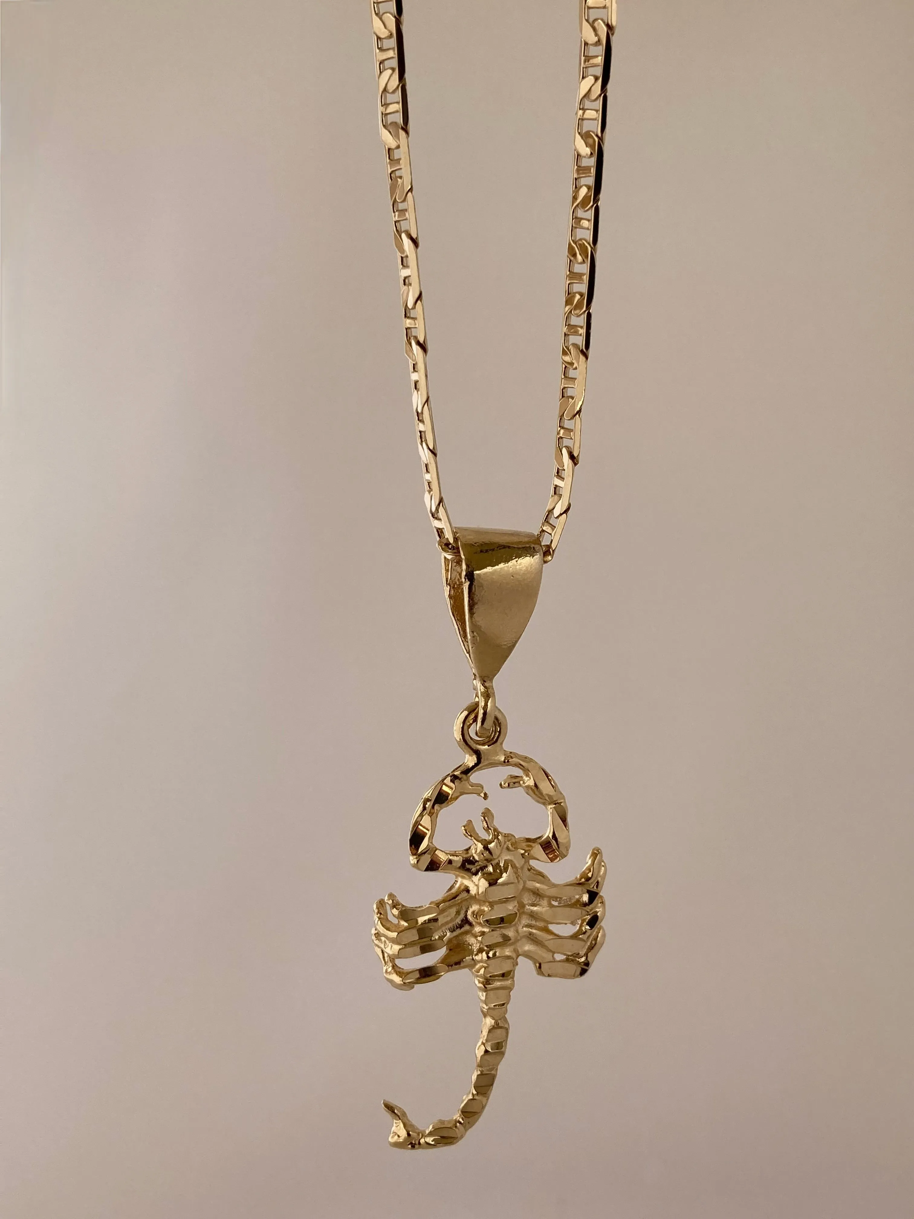 The Scorpion Necklace